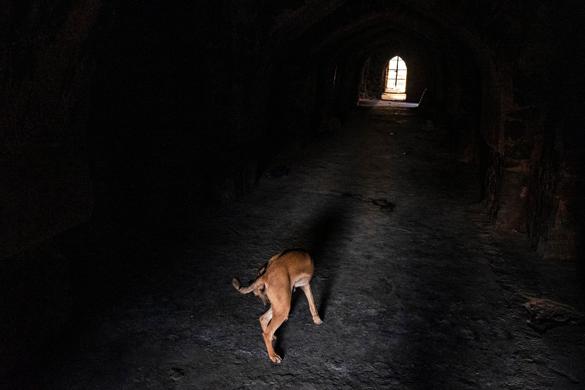 The Wish Granters - Djinns of Feroz Shah Kotla 4