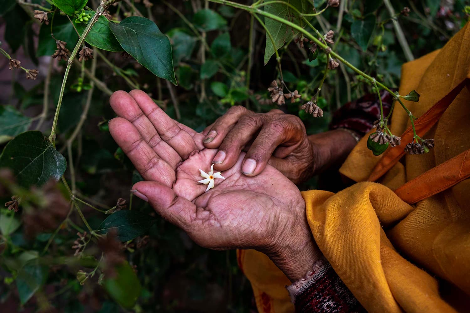 The Outcast Widows photo 7